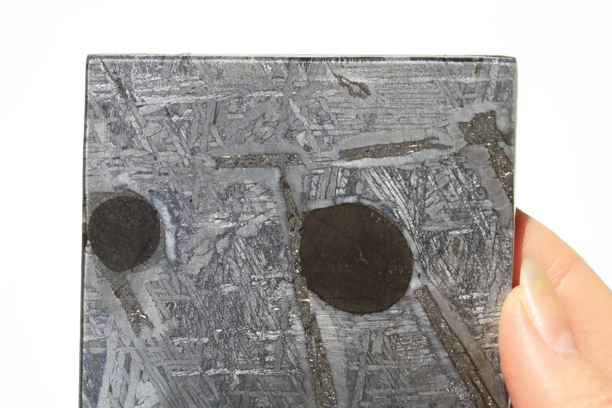 Unique Aletai Meteorite Slab