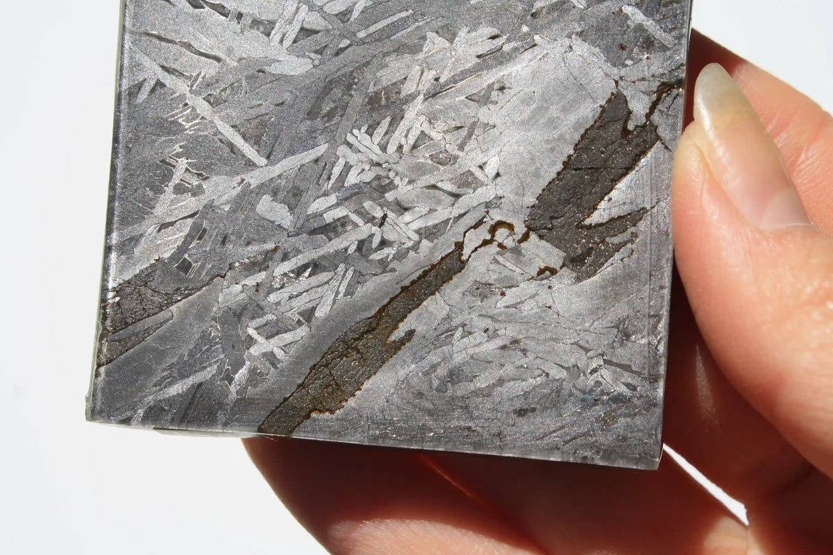 Aletai Meteorite Slab