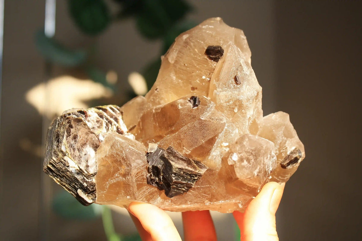 RARE Citrine with Golden Mica and Green Tourmaline on Custom Gold Stand