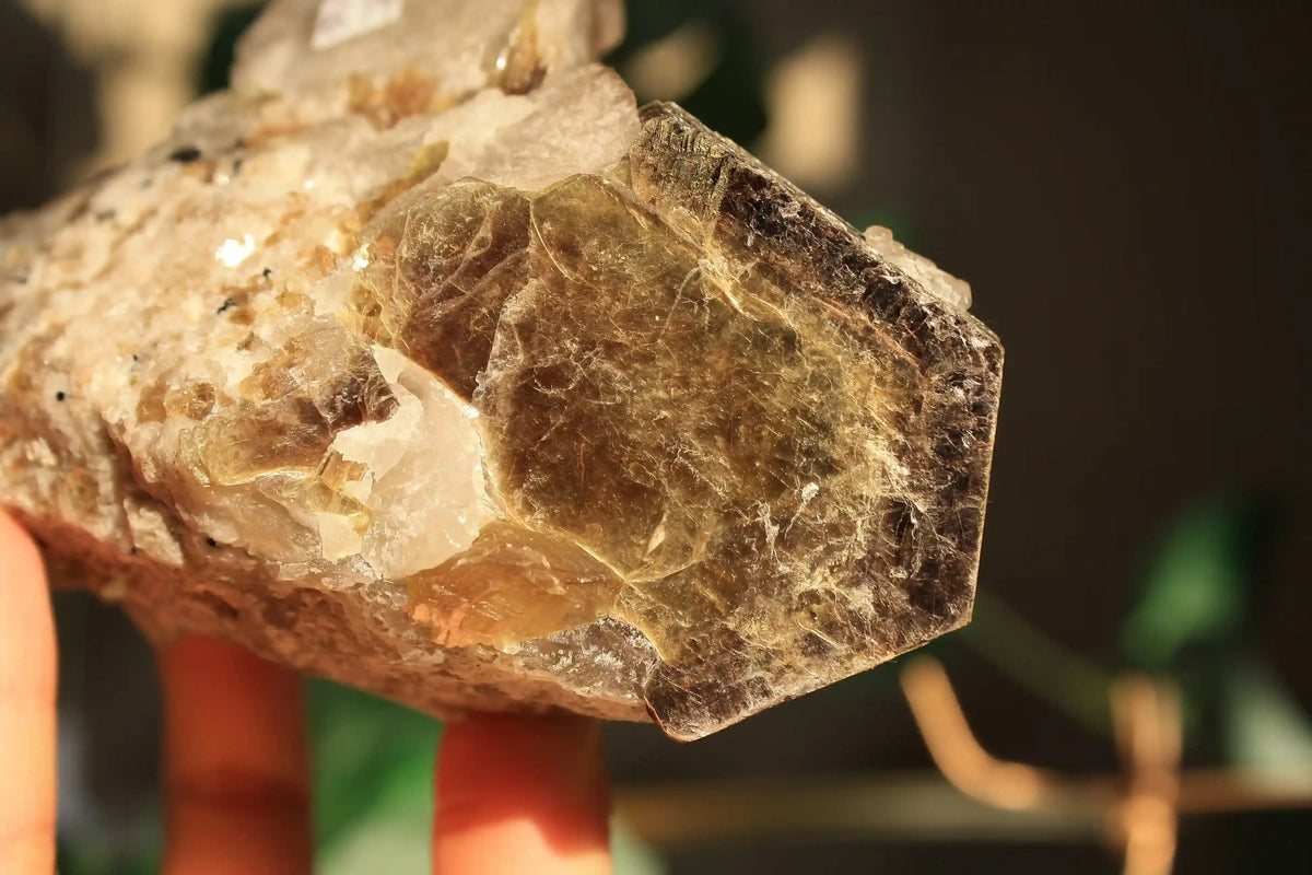 RARE Citrine with Golden Mica and Green Tourmaline on Custom Gold Stand