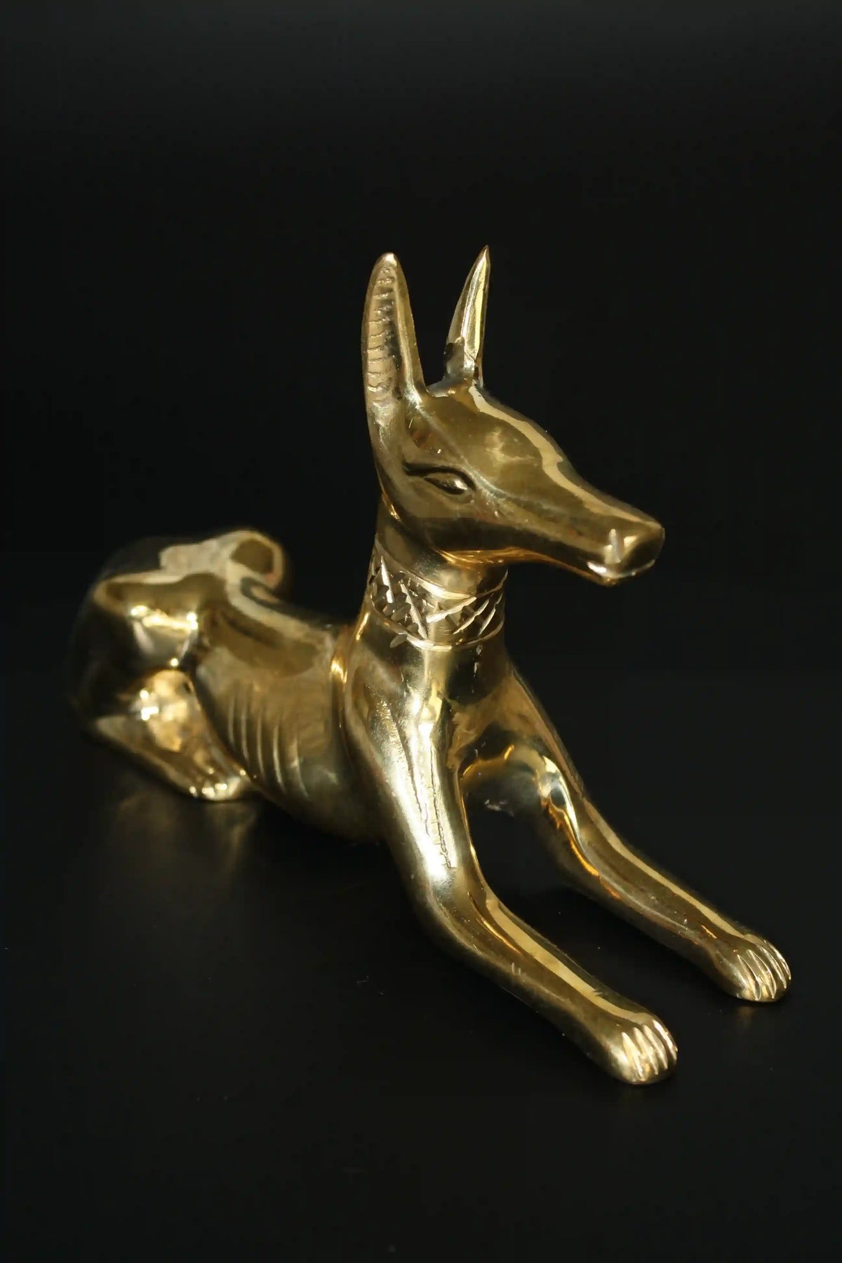 Egyptian Jackal Statue Anubis God - Medium