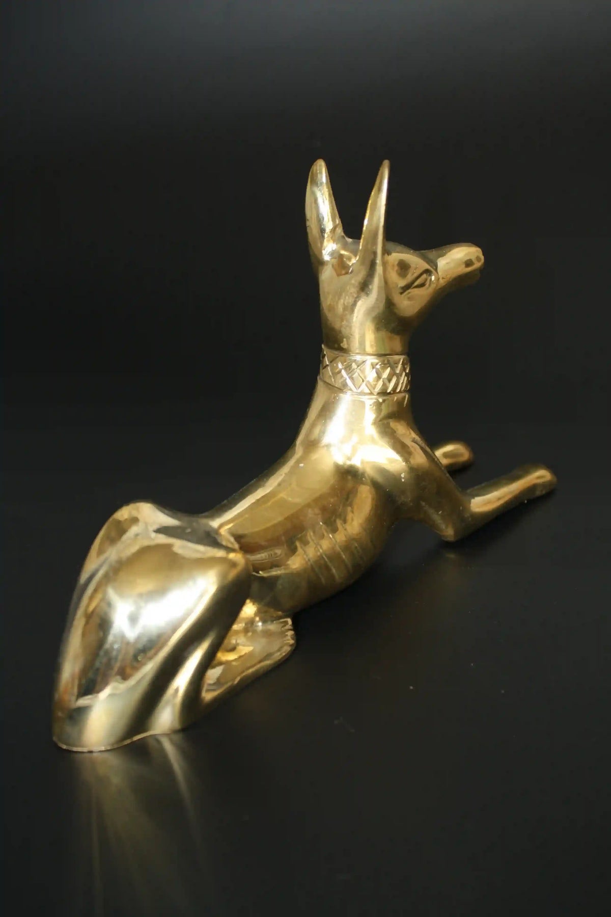 Egyptian Jackal Statue Anubis God - Medium