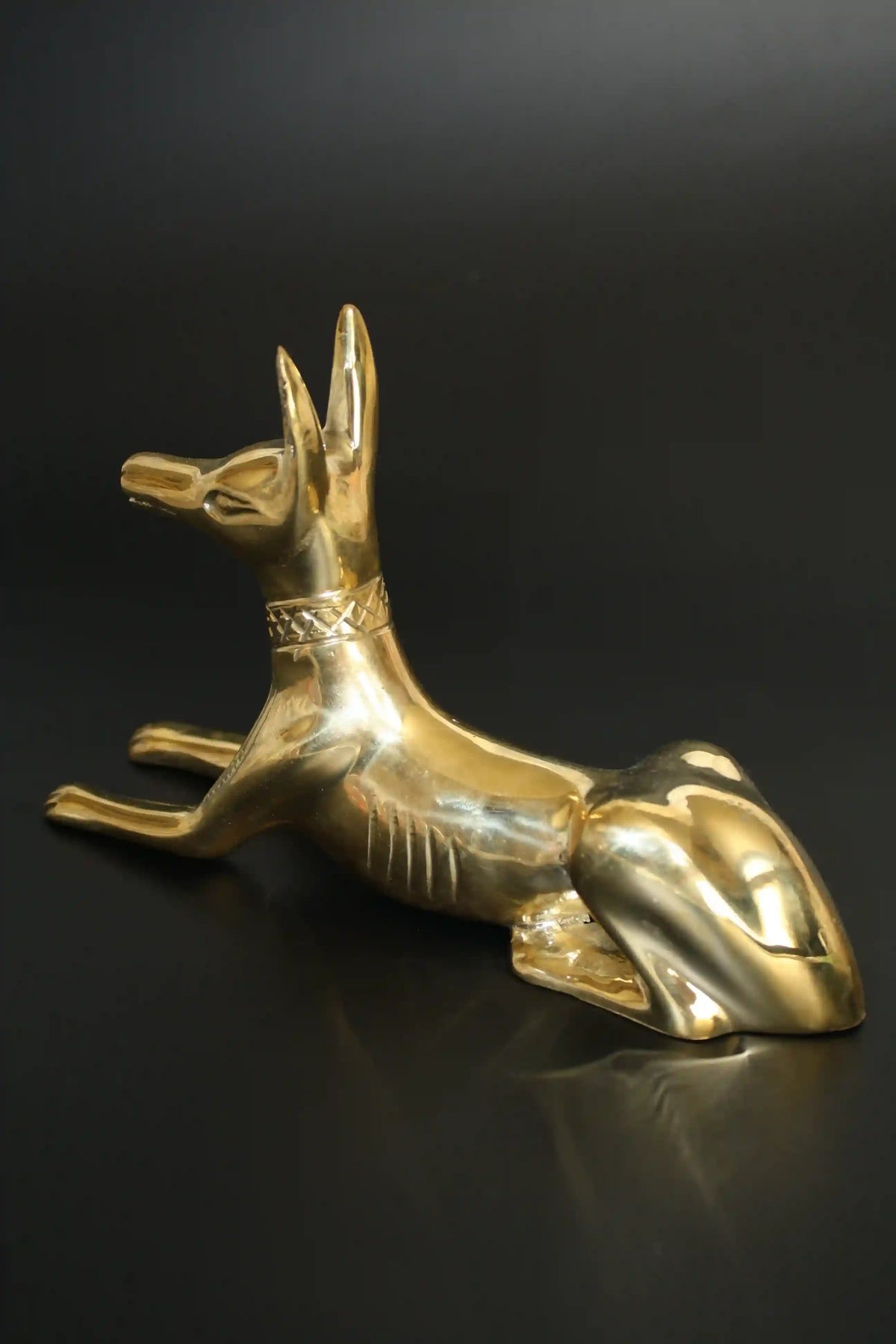 Egyptian Jackal Statue Anubis God - Medium