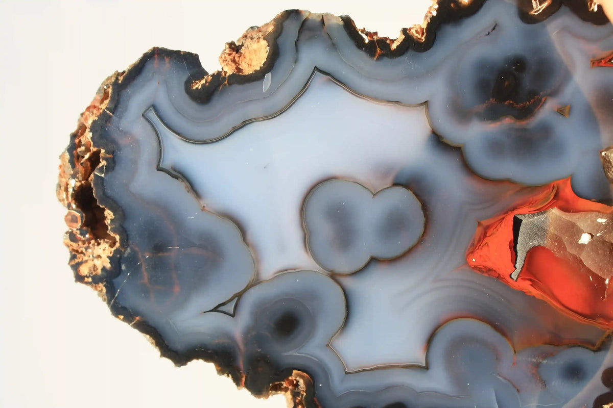 Rare Fire Fox Agate Geode