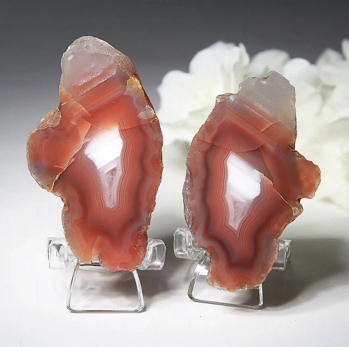 Swazi agate, agate pairs, swazi agate pair, orange swazi agate, white swazi agate, pink swazi agate, purple swazi agate, collectors swazi agate
