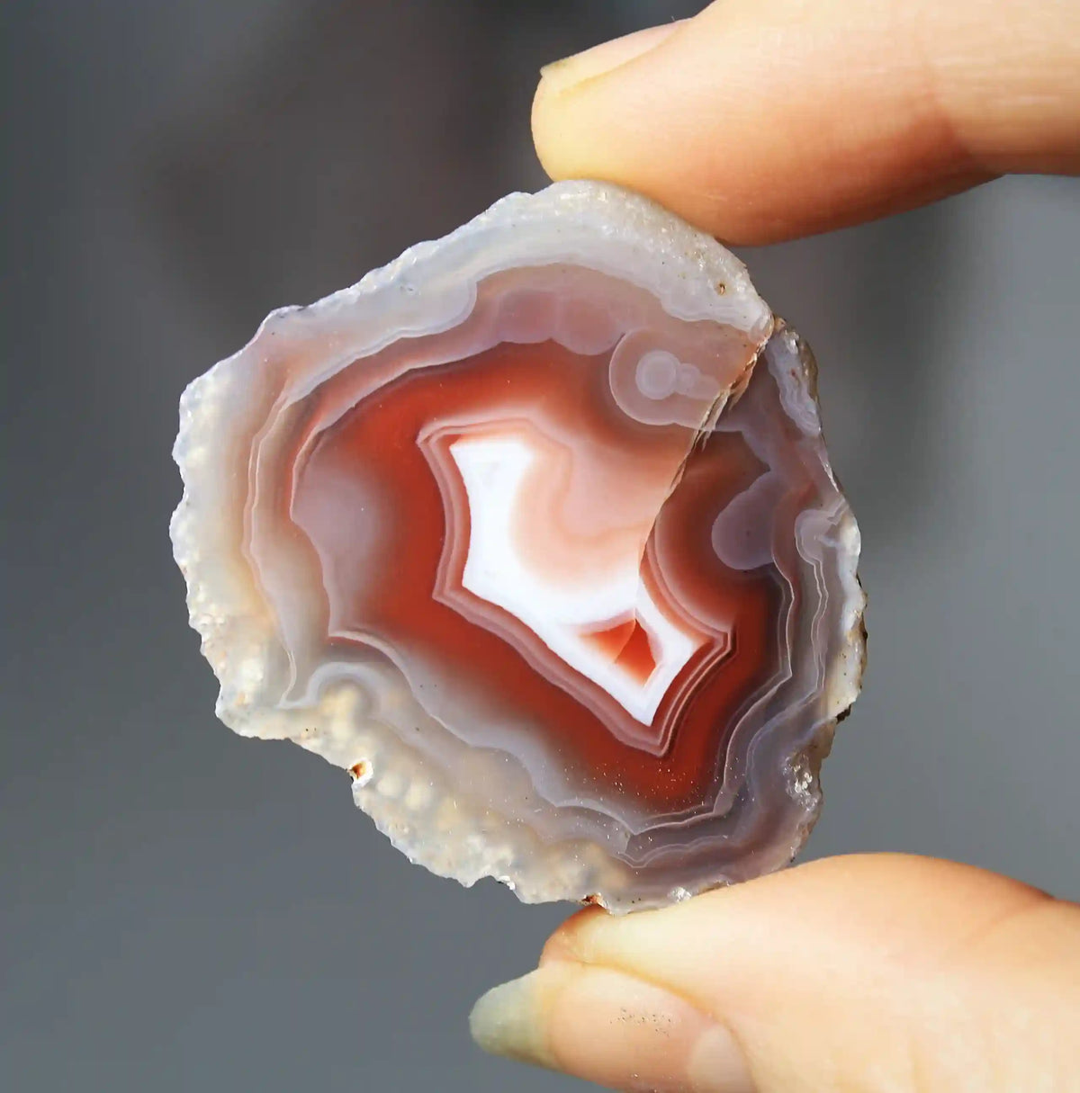 Swazi Agate Pair with Red Banding