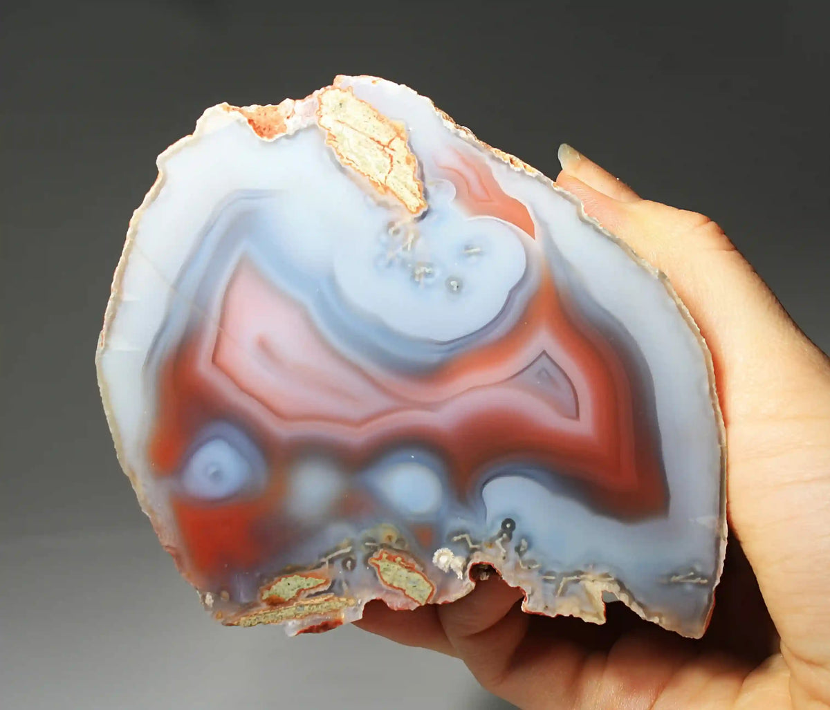 Large Vibrant Pink and Blue Swazi Agate Slice