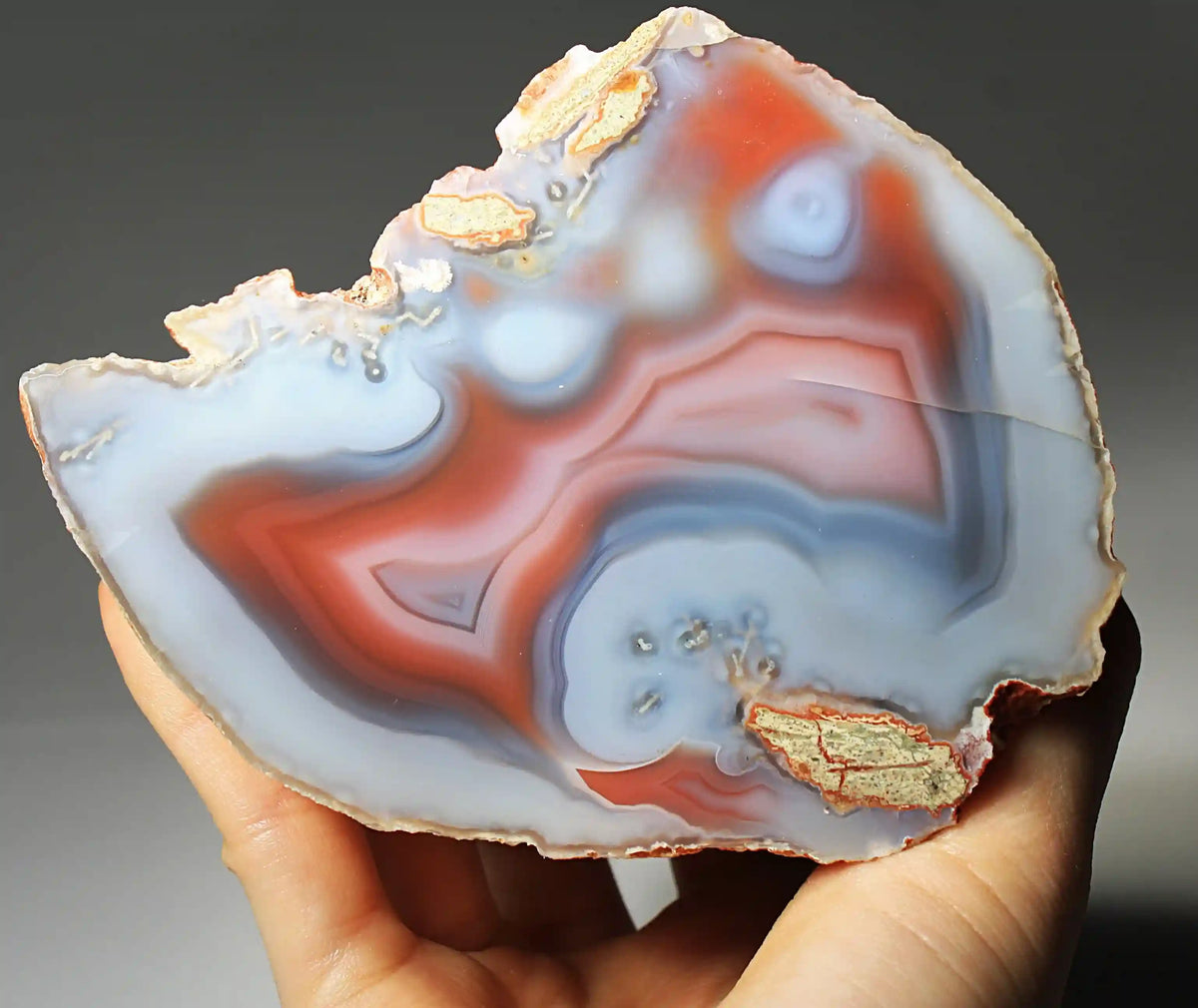 Large Vibrant Pink and Blue Swazi Agate Slice