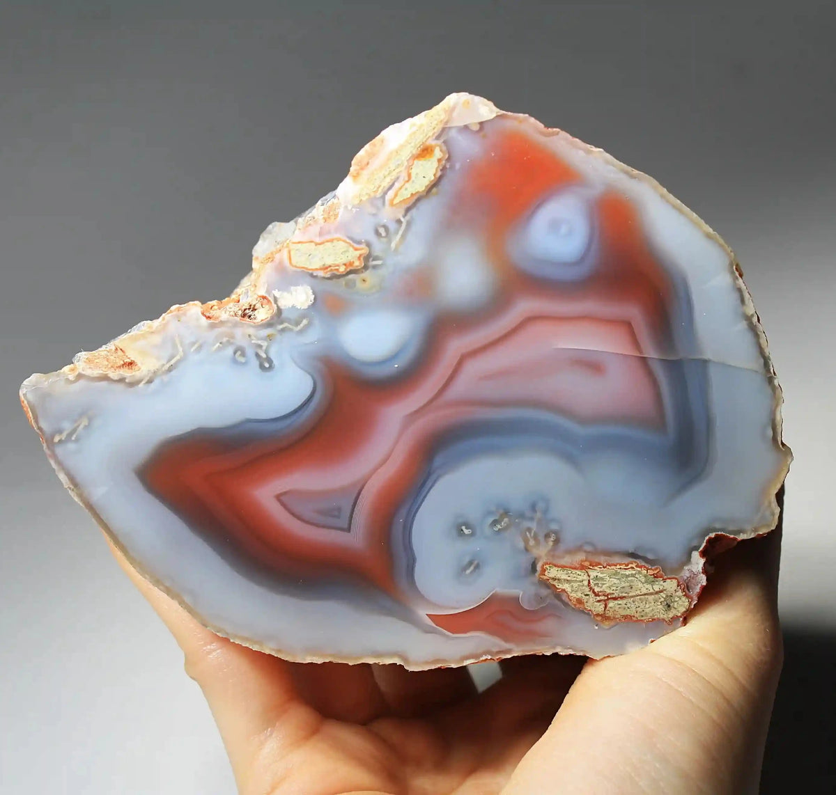 Large Vibrant Pink and Blue Swazi Agate Slice
