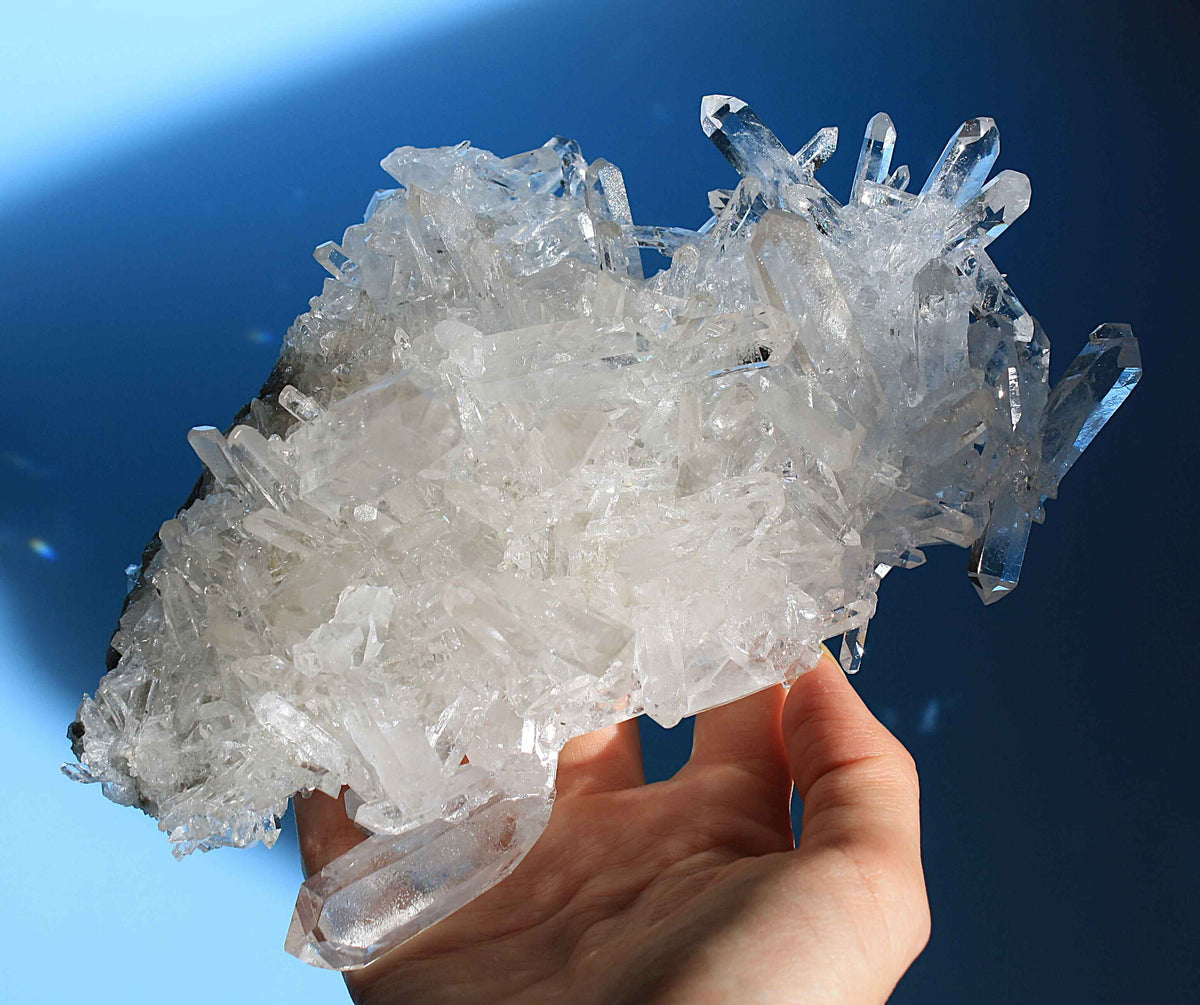 Statement 1.8lb Zeca de Souza Cluster