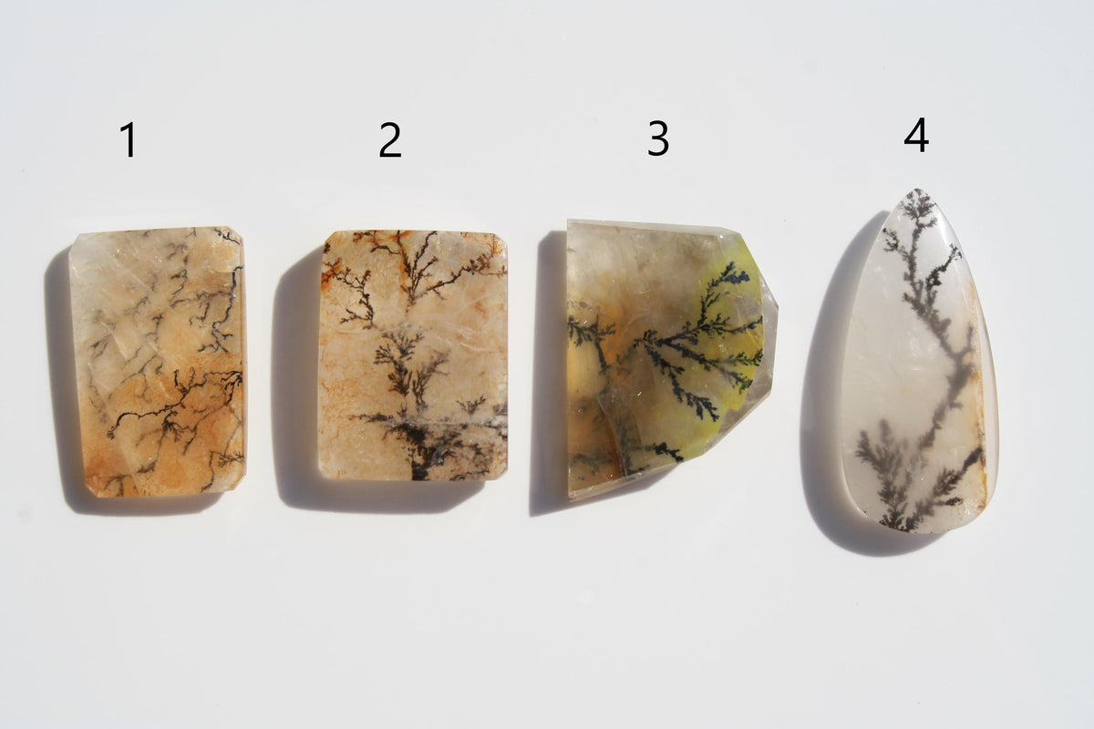 Dendritic Quartz | Dendritic Inclusion inside Quartz | Dendritic Quartz Cabochon | Inclusion Quartz | Tree Inclusion Quartz