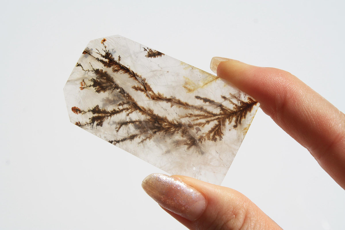 Dendritic Quartz | Dendritic Inclusion inside Quartz | Dendritic Quartz Cabochon | Inclusion Quartz | Tree Inclusion Quartz