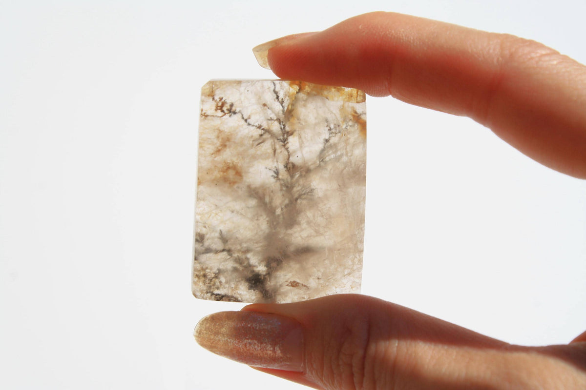 Dendritic Quartz | Dendritic Inclusion inside Quartz | Dendritic Quartz Cabochon | Inclusion Quartz | Tree Inclusion Quartz
