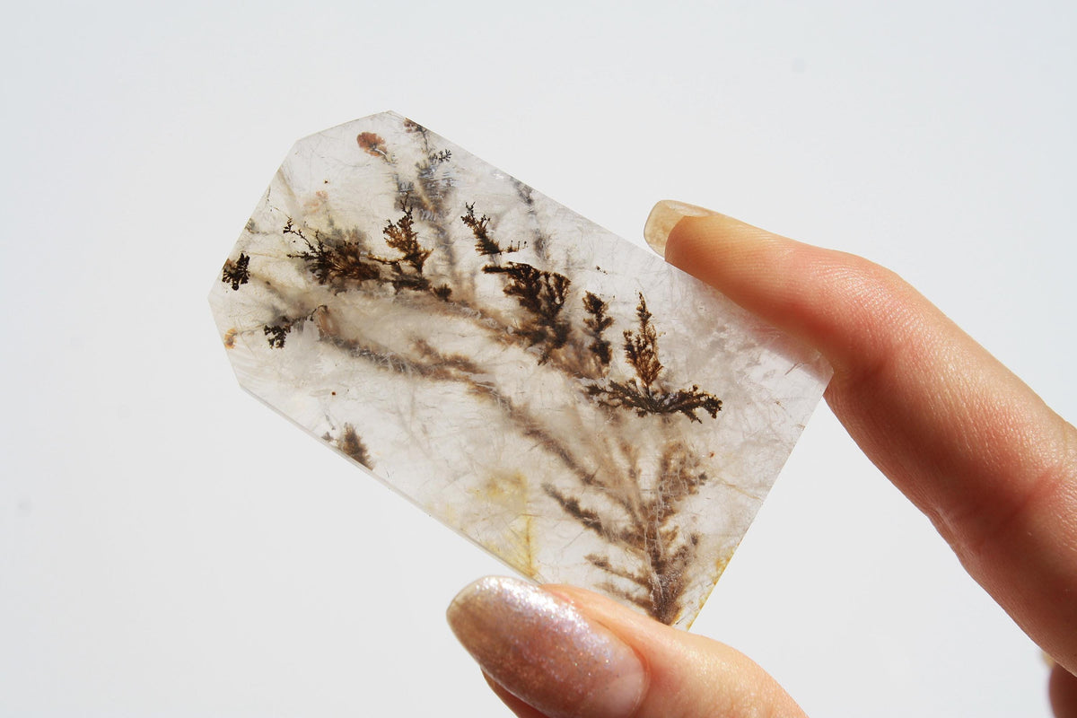 Dendritic Quartz | Dendritic Inclusion inside Quartz | Dendritic Quartz Cabochon | Inclusion Quartz | Tree Inclusion Quartz