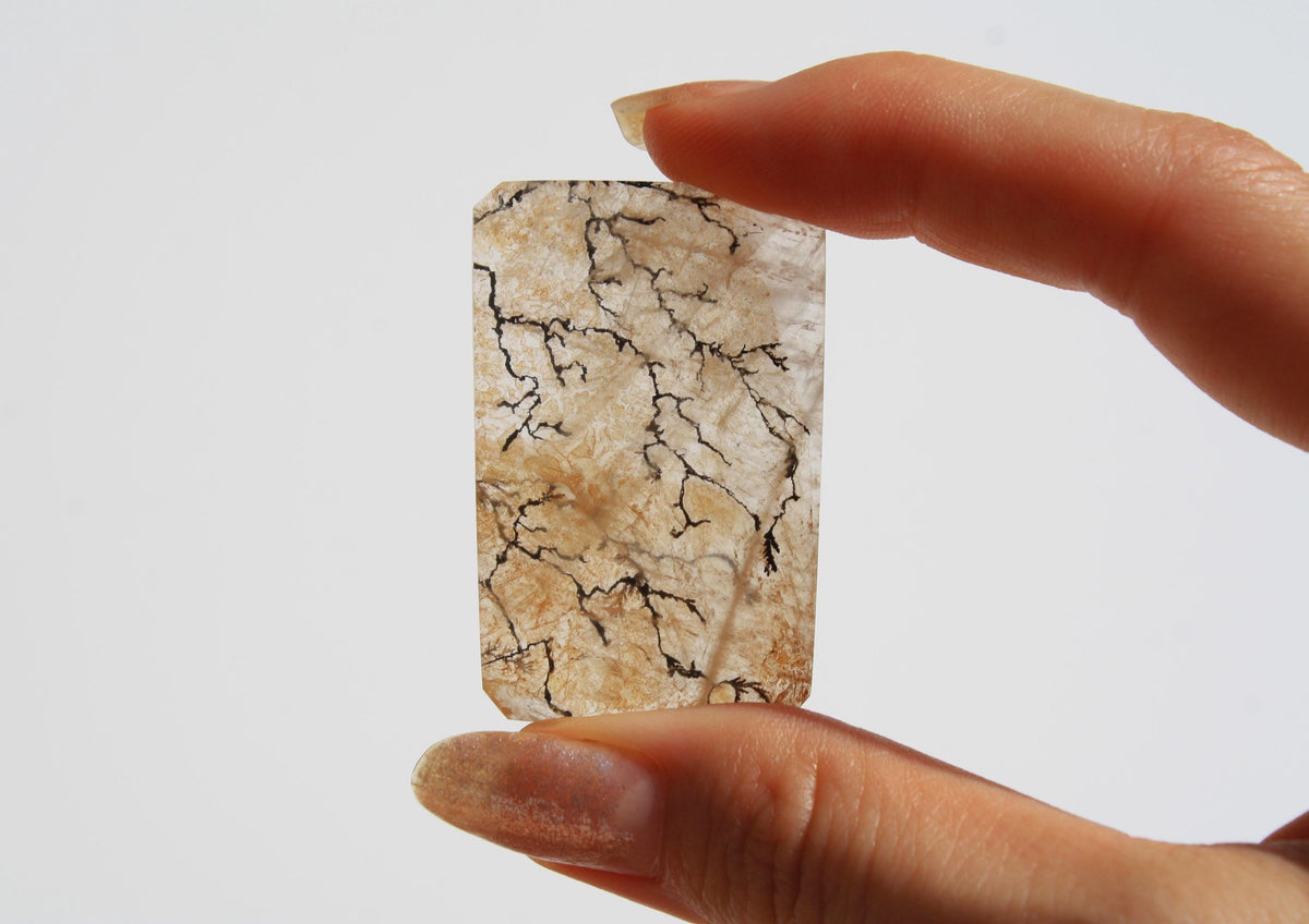 Dendritic Quartz | Dendritic Inclusion inside Quartz | Dendritic Quartz Cabochon | Inclusion Quartz | Tree Inclusion Quartz