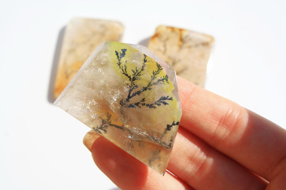 Dendritic Quartz | Dendritic Inclusion inside Quartz | Dendritic Quartz Cabochon | Inclusion Quartz | Tree Inclusion Quartz