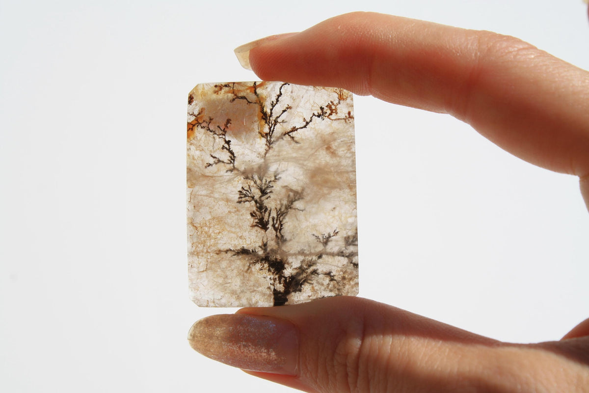 Dendritic Quartz | Dendritic Inclusion inside Quartz | Dendritic Quartz Cabochon | Inclusion Quartz | Tree Inclusion Quartz