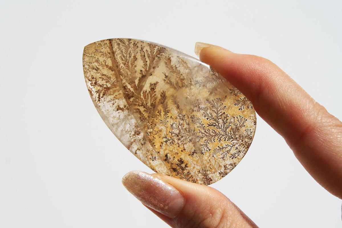 Dendritic Quartz | Dendritic Inclusion inside Quartz | Dendritic Quartz Cabochon | Inclusion Quartz | Tree Inclusion Quartz