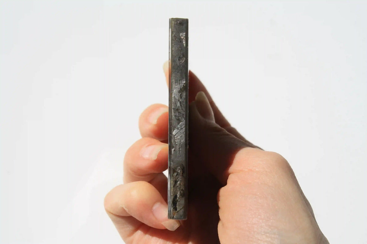 Unique Aletai Meteorite Slab
