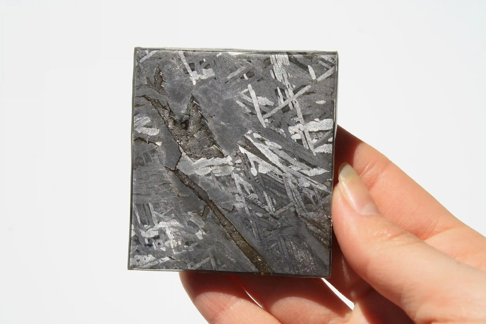 Aletai Meteorite, aletai meteorite, crystal shop, meteorite on stand, crystals from space, moldavite, Widmanstätten Pattern, iron meteorite 