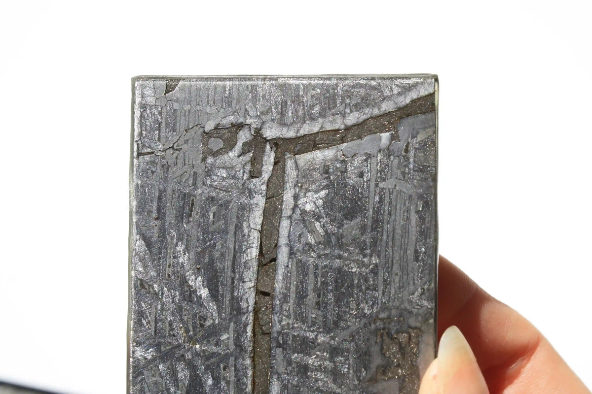 Aletai Meteorite, aletai meteorite, crystal shop, meteorite on stand, crystals from space, moldavite, Widmanstätten Pattern, iron meteorite 