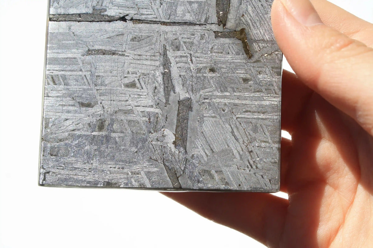 Aletai Meteorite Slab