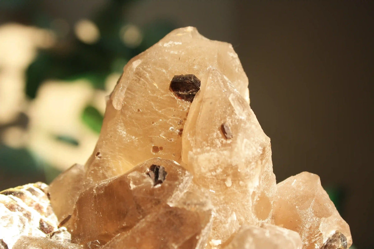 RARE Citrine with Golden Mica and Green Tourmaline on Custom Gold Stand