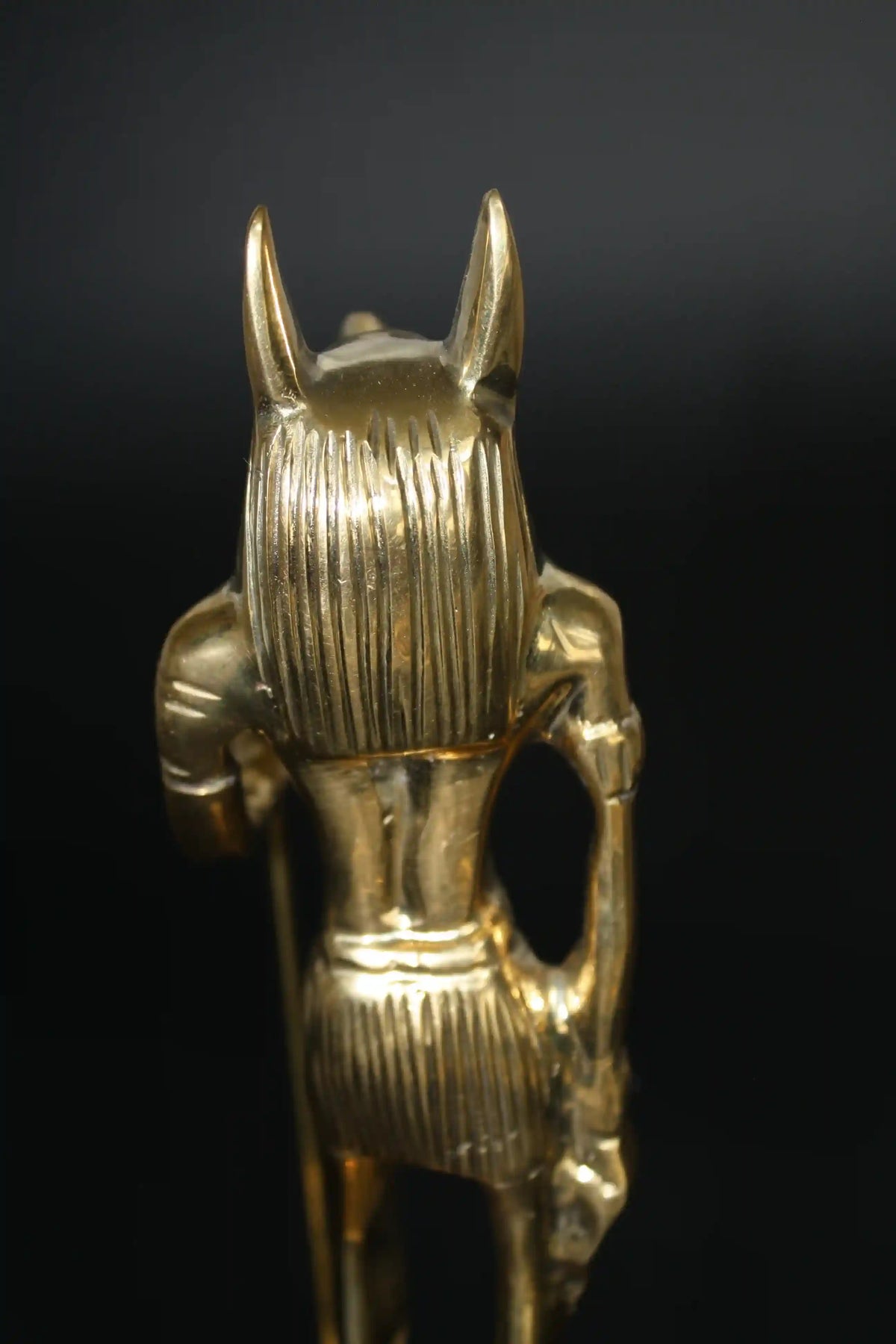Anubis Egyptian god of protection and the afterlife, Anubis statue, Anubis egypt