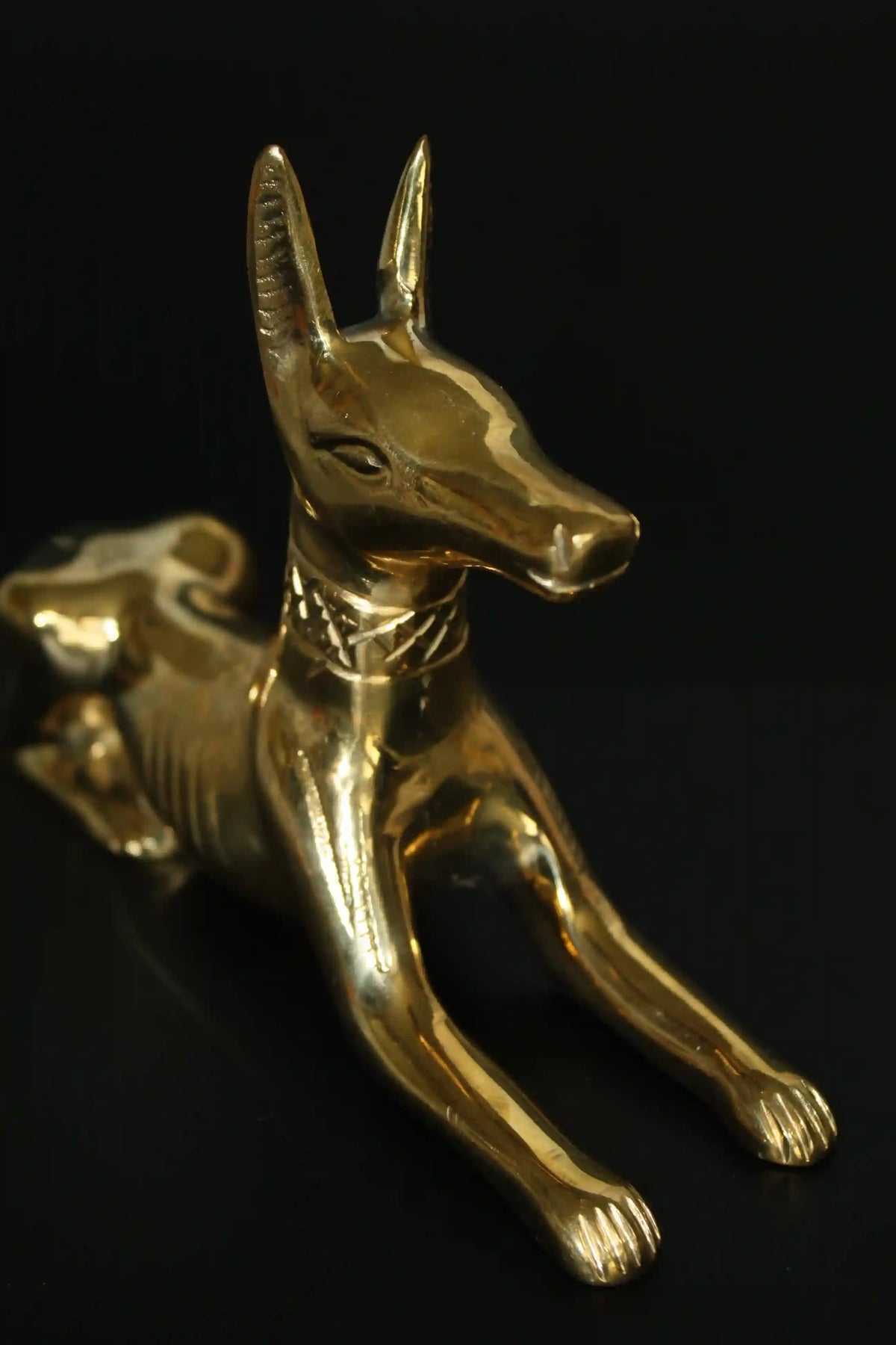 Egyptian Jackal Statue Anubis God - Medium