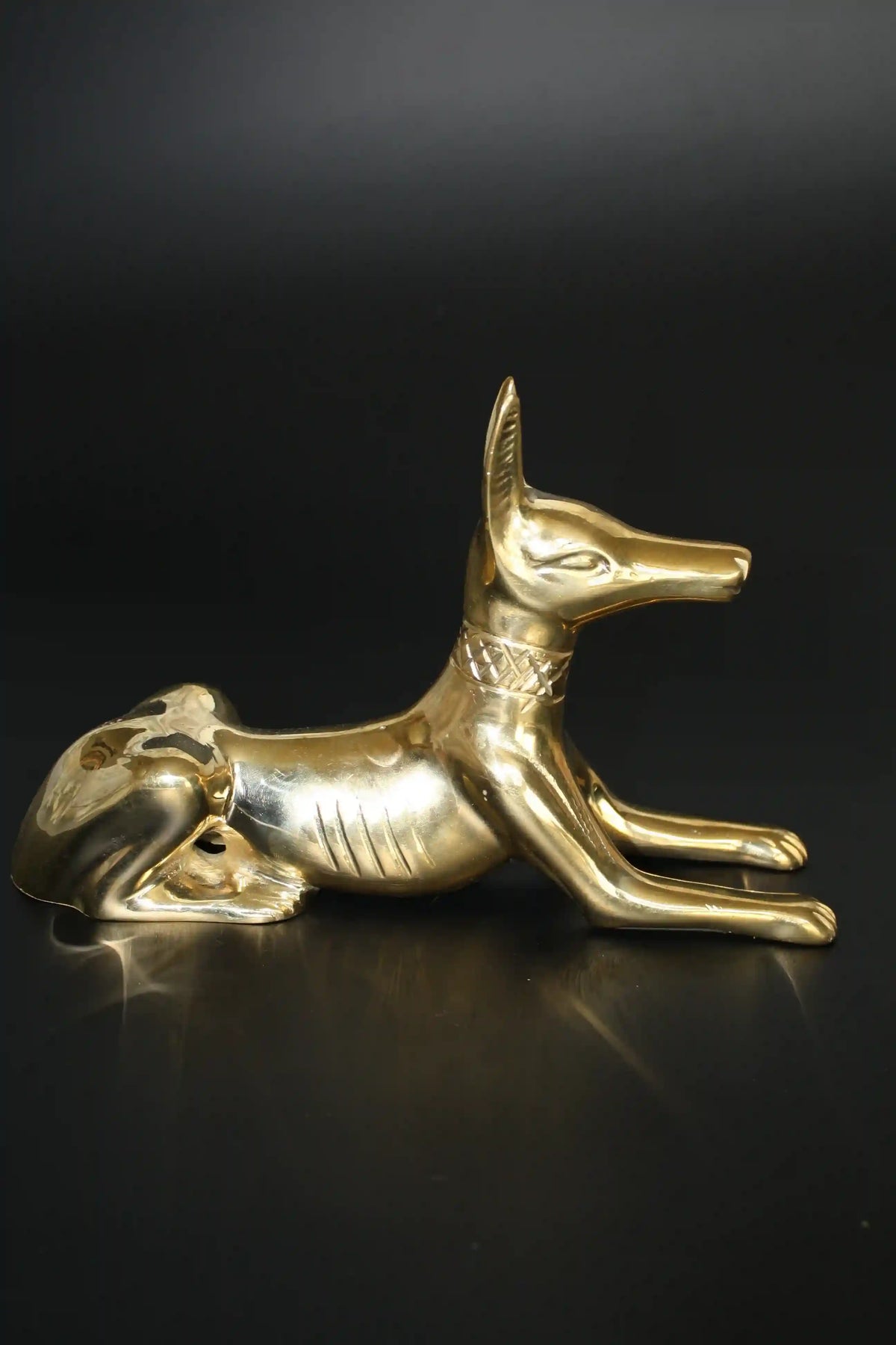 Egyptian Jackal Statue Anubis God - Medium