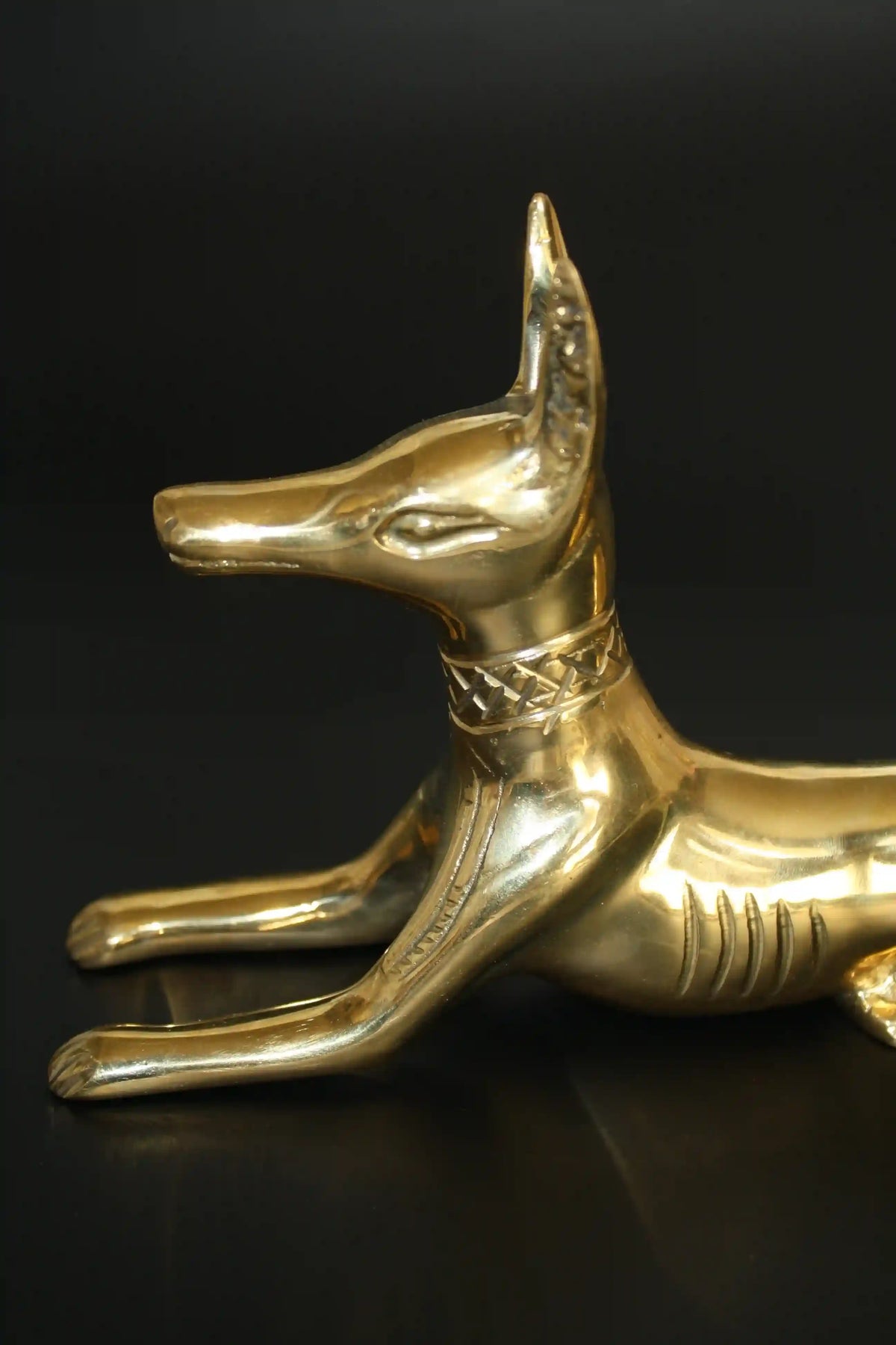 Egyptian Jackal Statue Anubis God - Medium