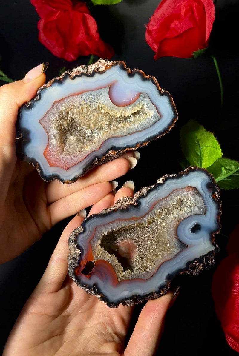 Agate - Rare Fire Fox