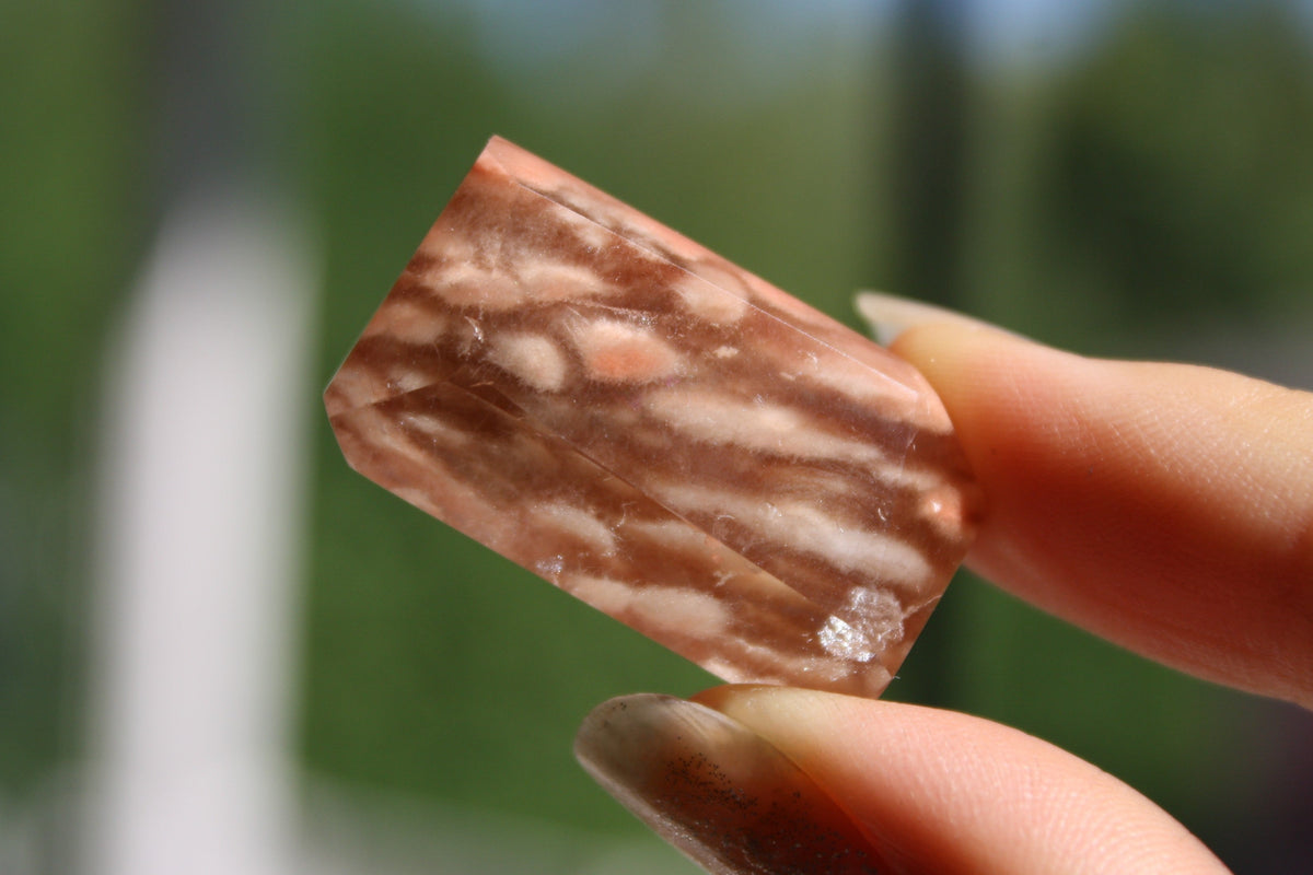 Amphibole quartz crystal , pink amphibole, red amphibole,  Canadian crystal shop, amphibole tower, unique inclusion crystal, coral amphibole