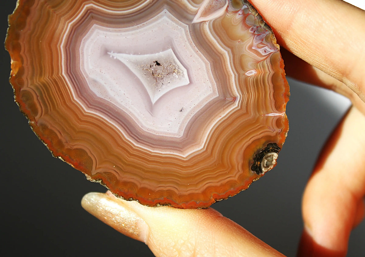 Vibrant Zhanguo agate with bold, swirling bands of crimson, gold, and jade, glowing with depth