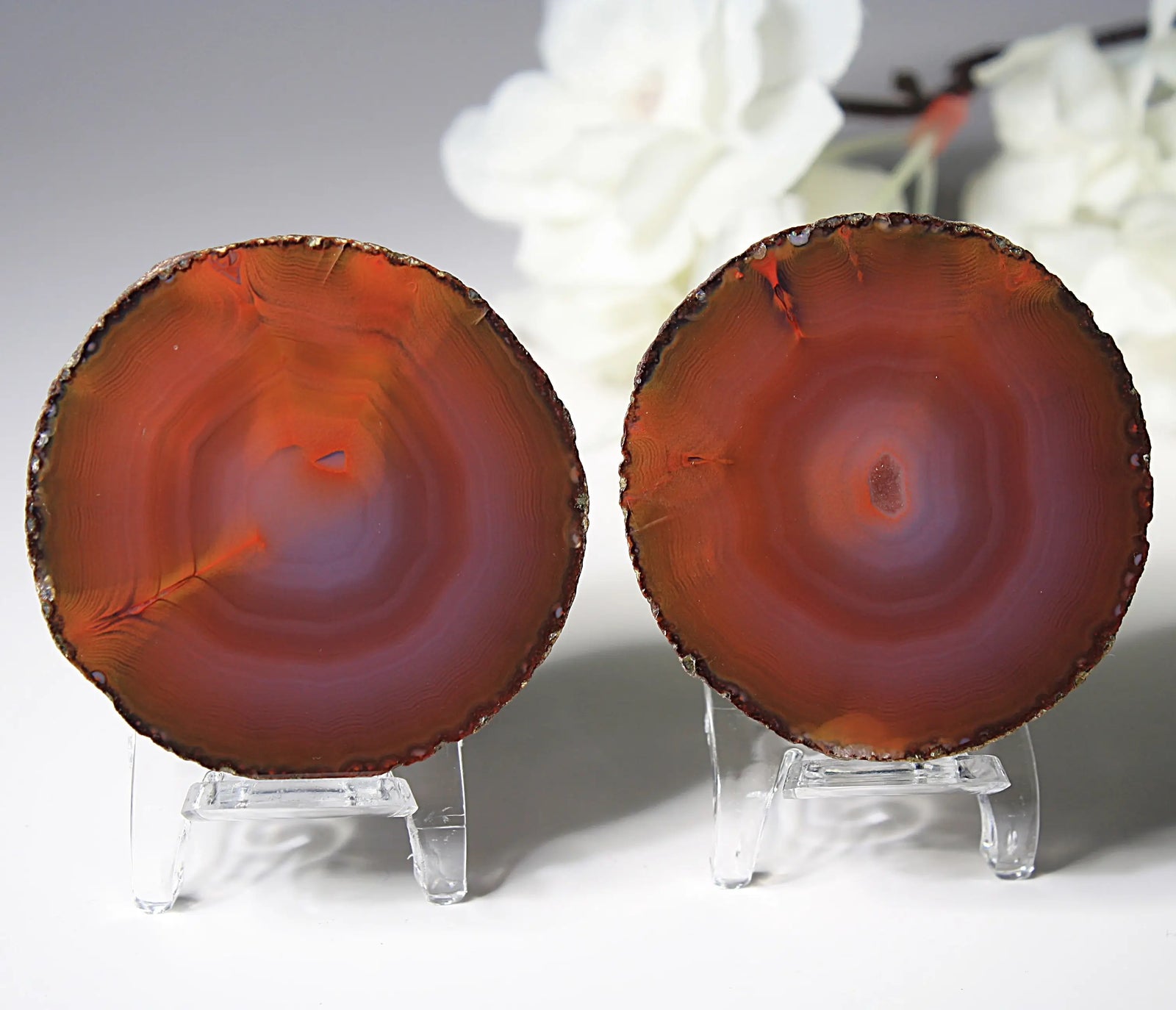 Unique deep purple and red Zhanguo agate pair with bold, layered bands
