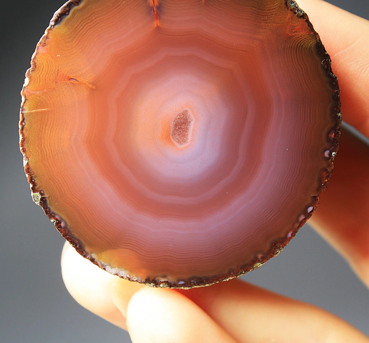Unique deep purple and red Zhanguo agate pair with bold, layered bands