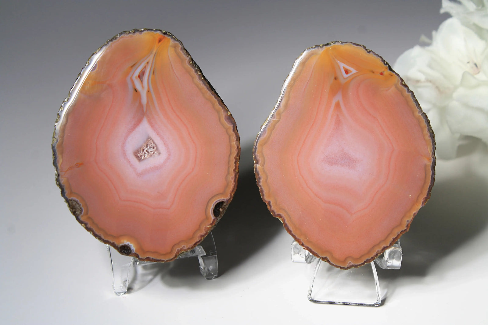 Soft pink banded Zhanguo agate pair glowing with warm, luminous tones