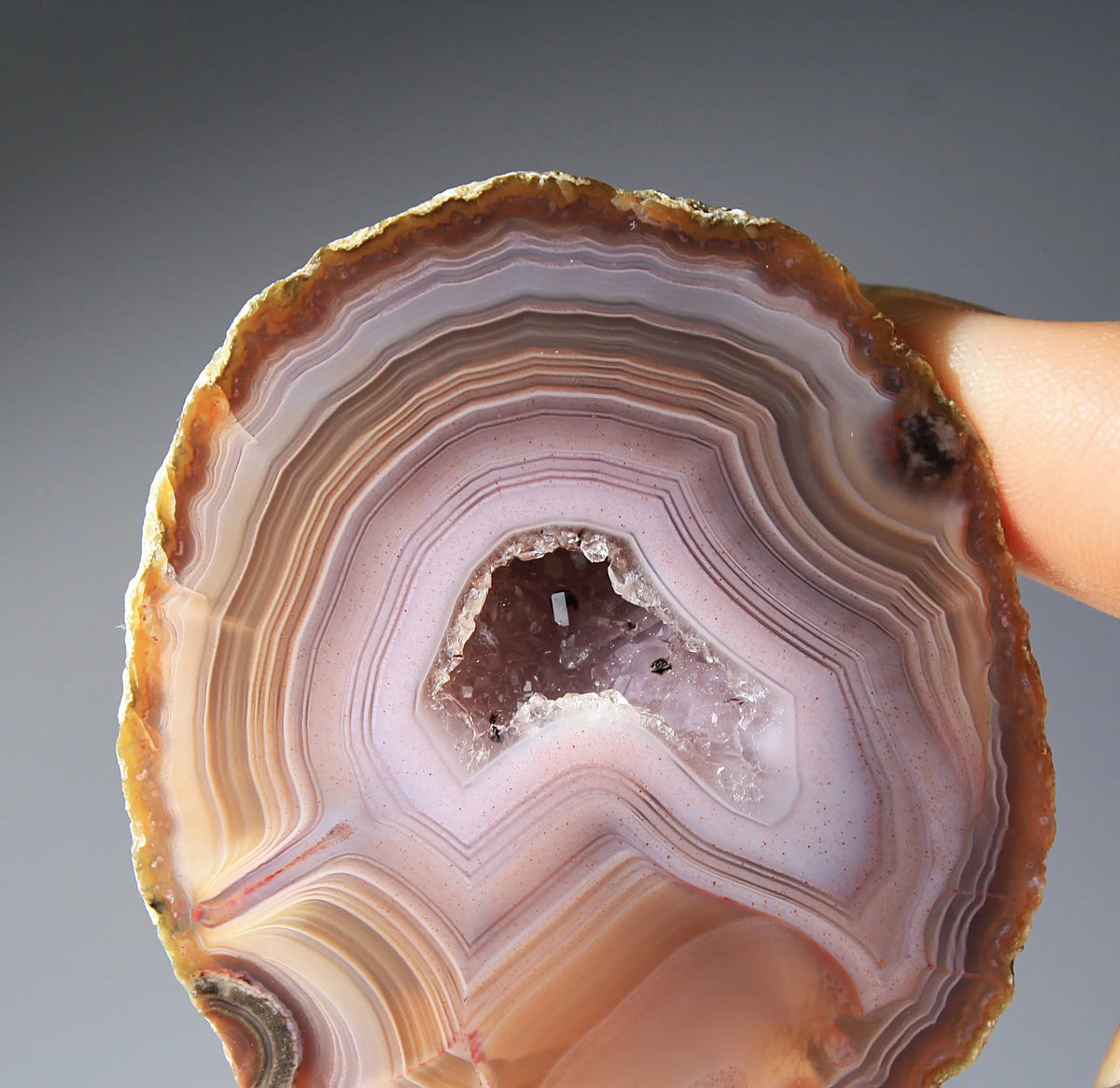 Vibrant Zhanguo agate pair with blue bands swirling among crimson, gold, and jade tones