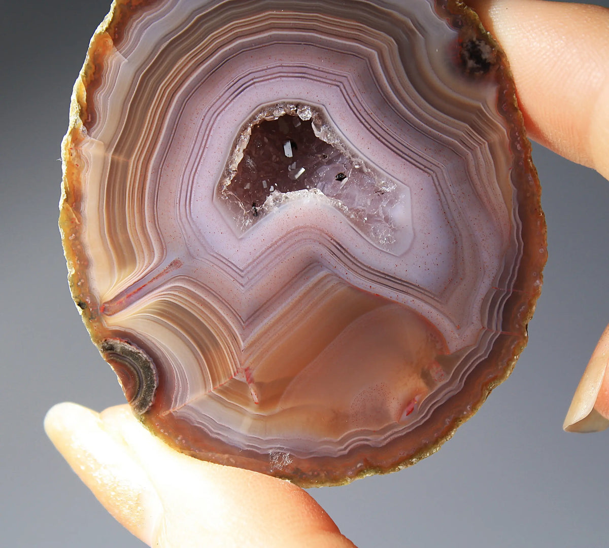Vibrant Zhanguo agate pair with blue bands swirling among crimson, gold, and jade tones