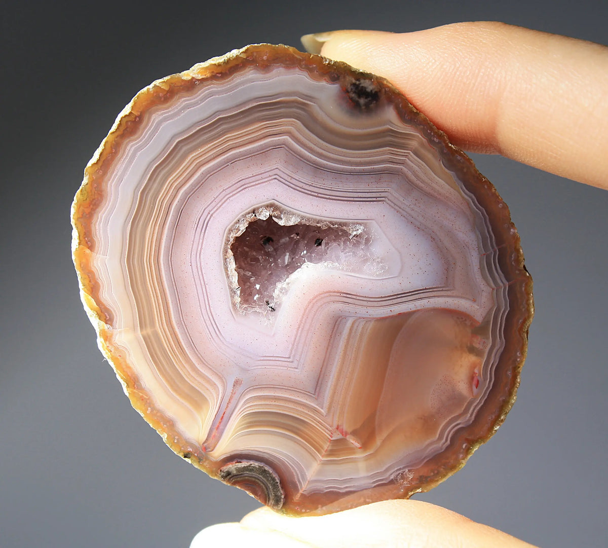 Vibrant Zhanguo agate pair with blue bands swirling among crimson, gold, and jade tones