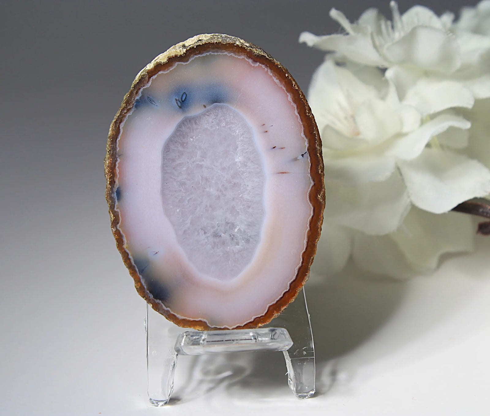 Zhanguo agate pair with striking white and blue features 