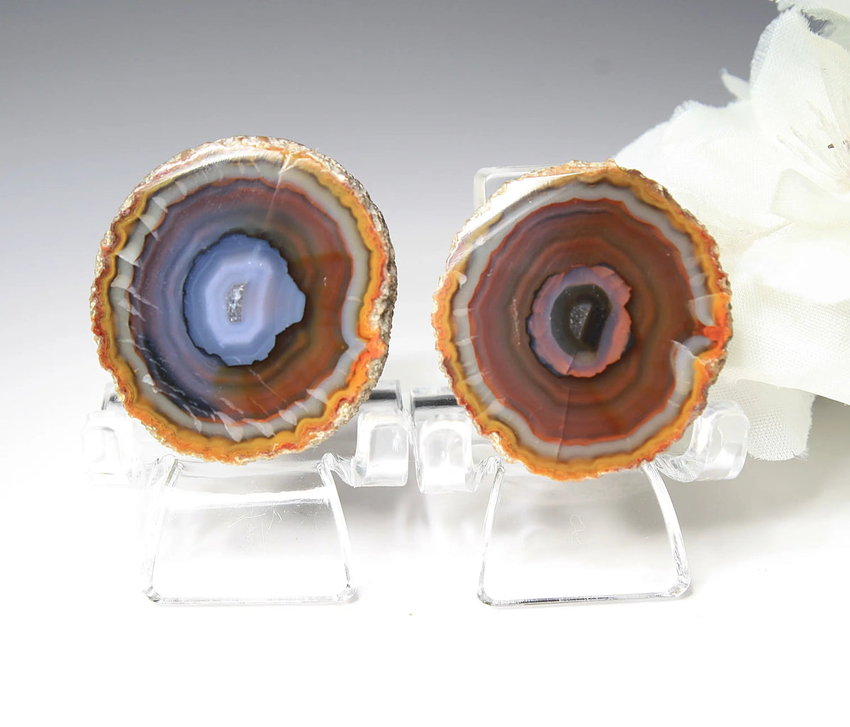 Banded purple-blue and orange Zhanguo agate pair with vivid swirling layers