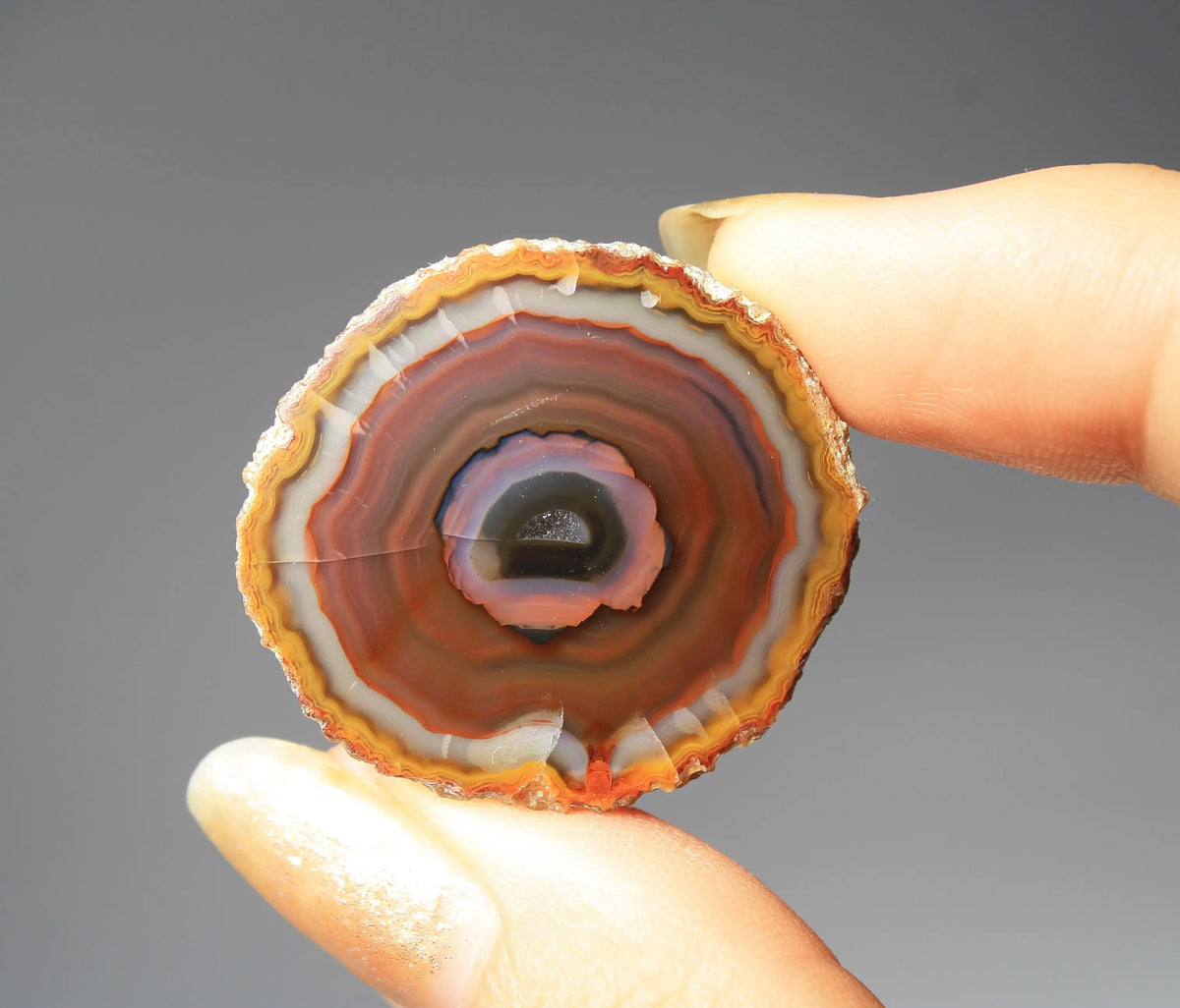 Banded purple-blue and orange Zhanguo agate pair with vivid swirling layers