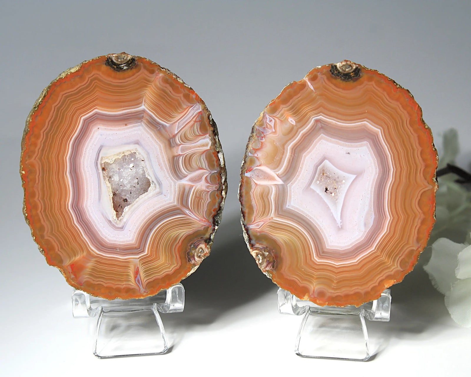 Vibrant Zhanguo agate with bold, swirling bands of crimson, gold, and jade, glowing with depth
