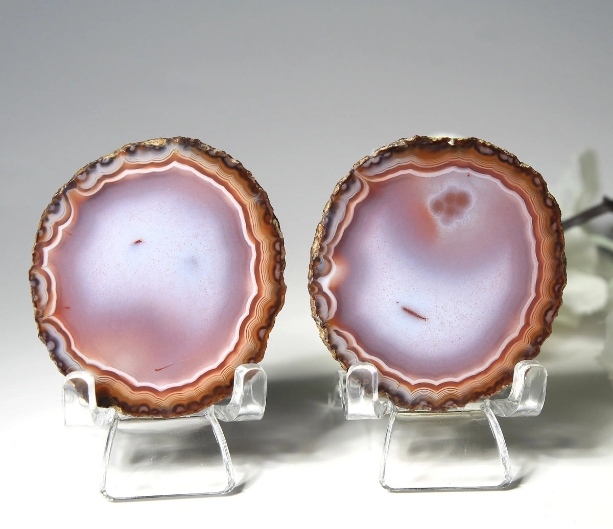 Banded deep purple Zhanguo agate pair with rich, swirling layers