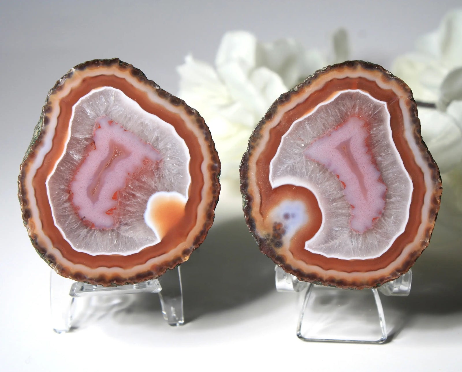Red and pink Zhanguo agate pair with rich, layered patterns