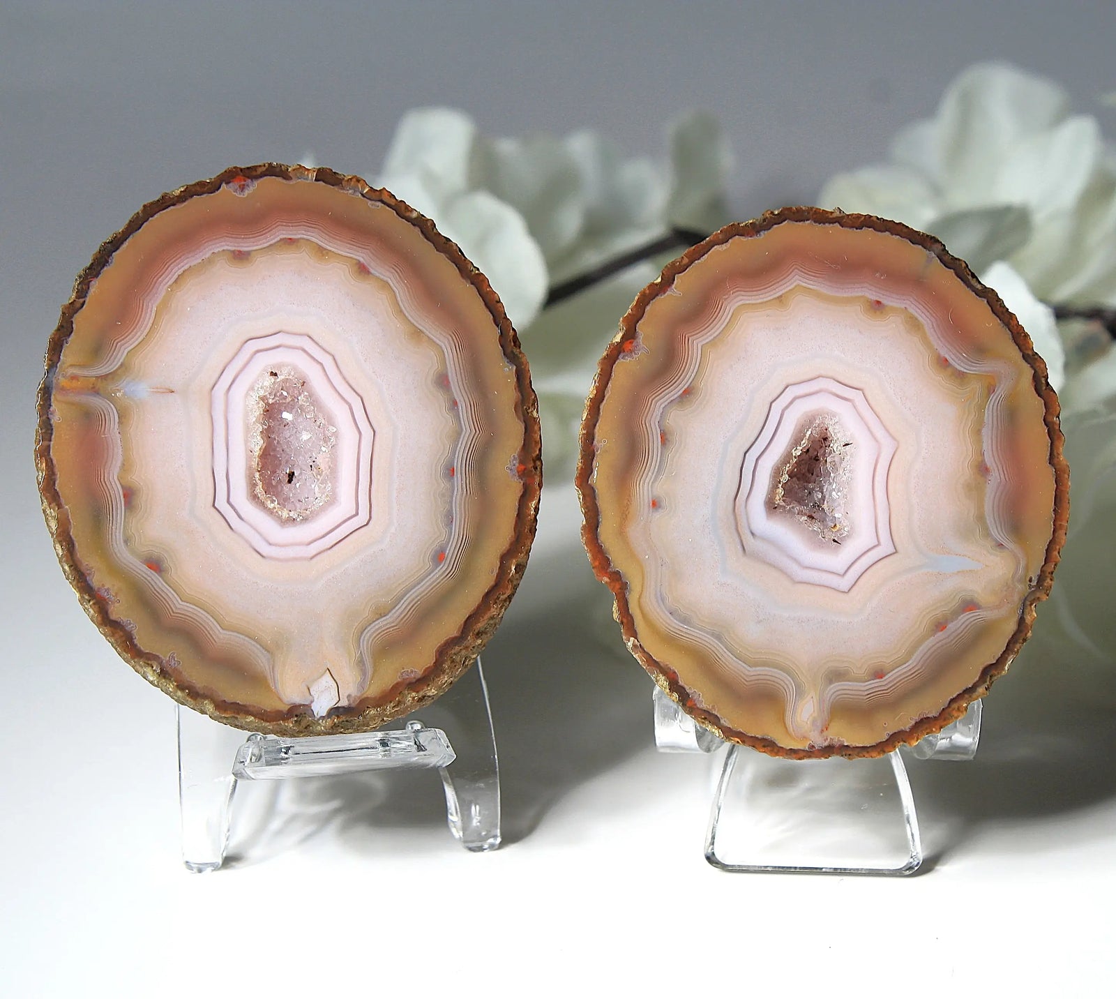 Rare pink Zhanguo agate pair featuring vivid, layered bands