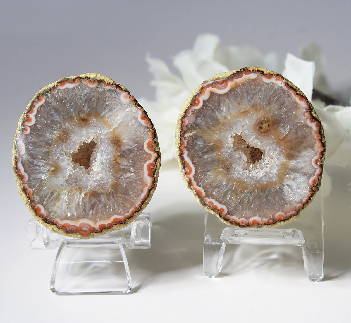 White and orange banded Zhanguo agate pair with a clear crystal core