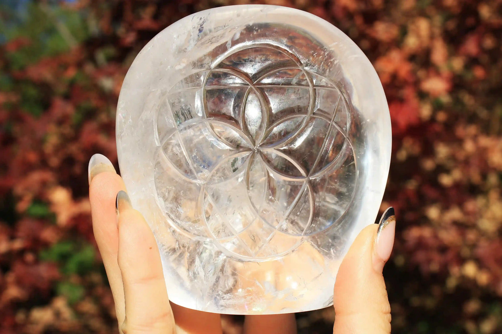 flower of life crystal carving, vikas meena carving, Himalayan quartz , Canadian crystals, carved crystal flower of life, Quartz crystal carving