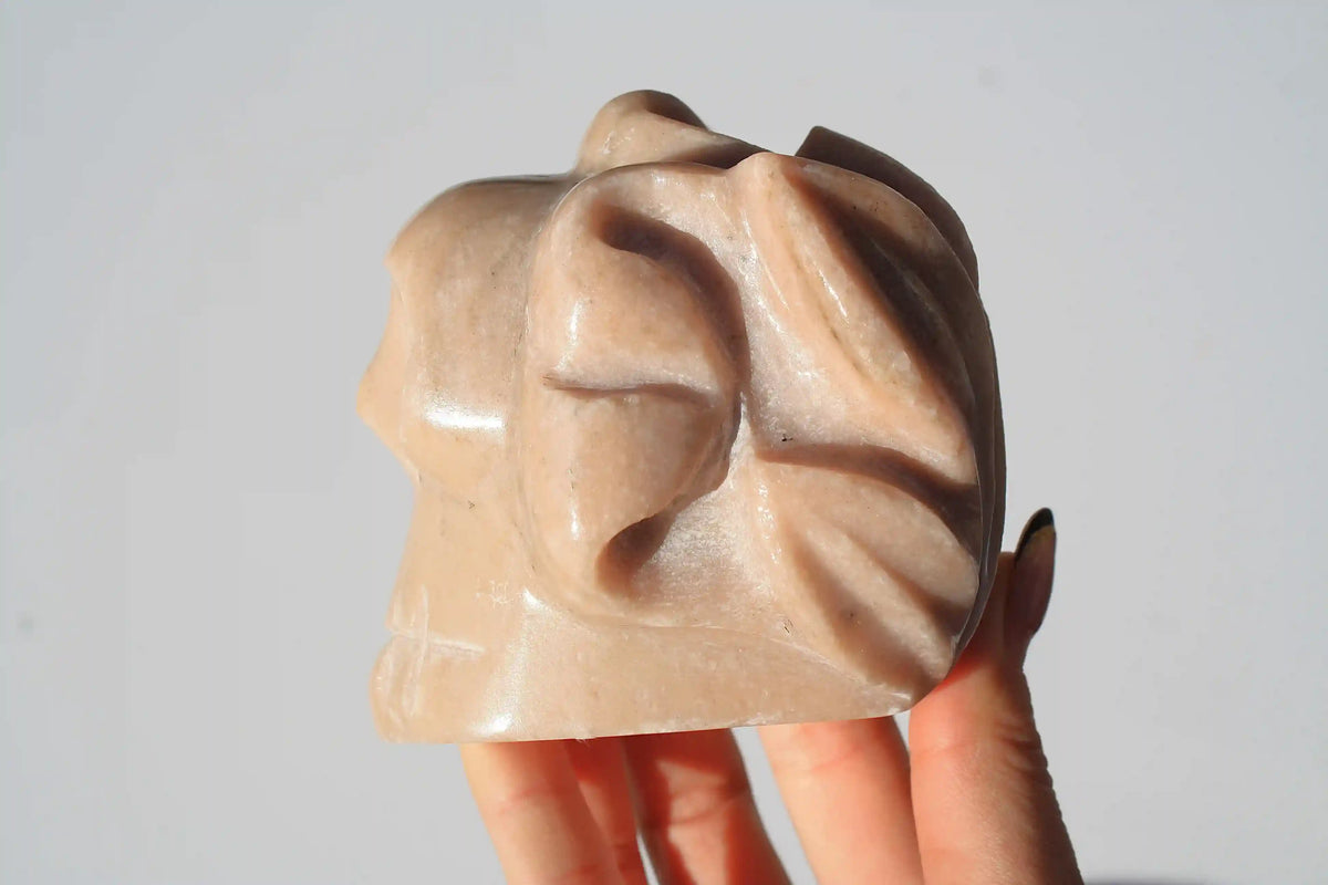 Lotus Flower Skull Authentic Isis Goddess Temple Stone from Egypt